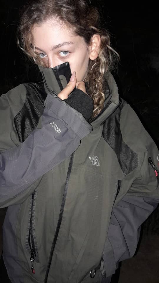 نورس فیس - نما ۱