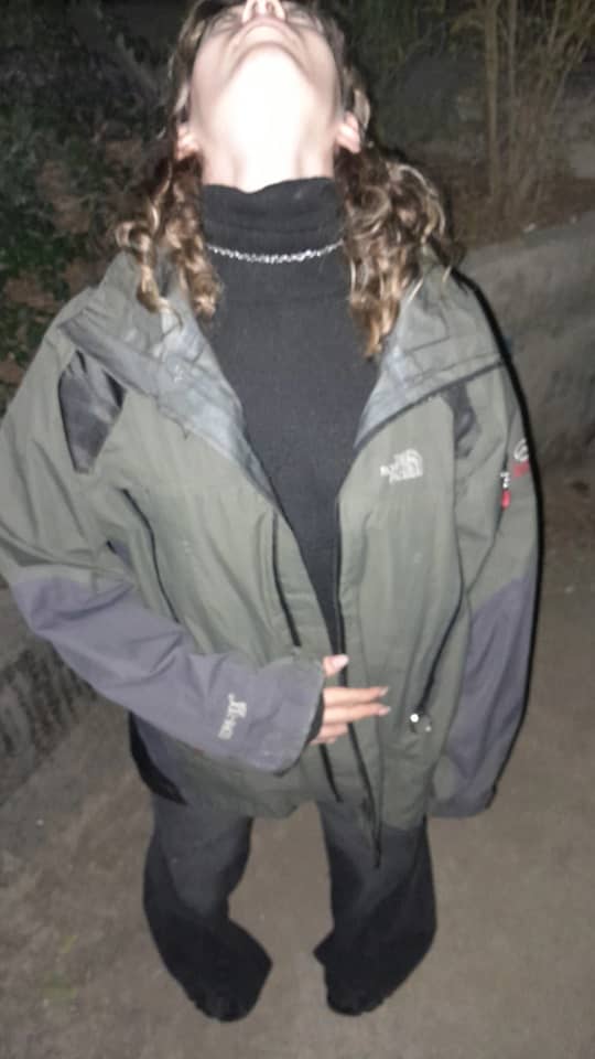 نورس فیس - نما ۲